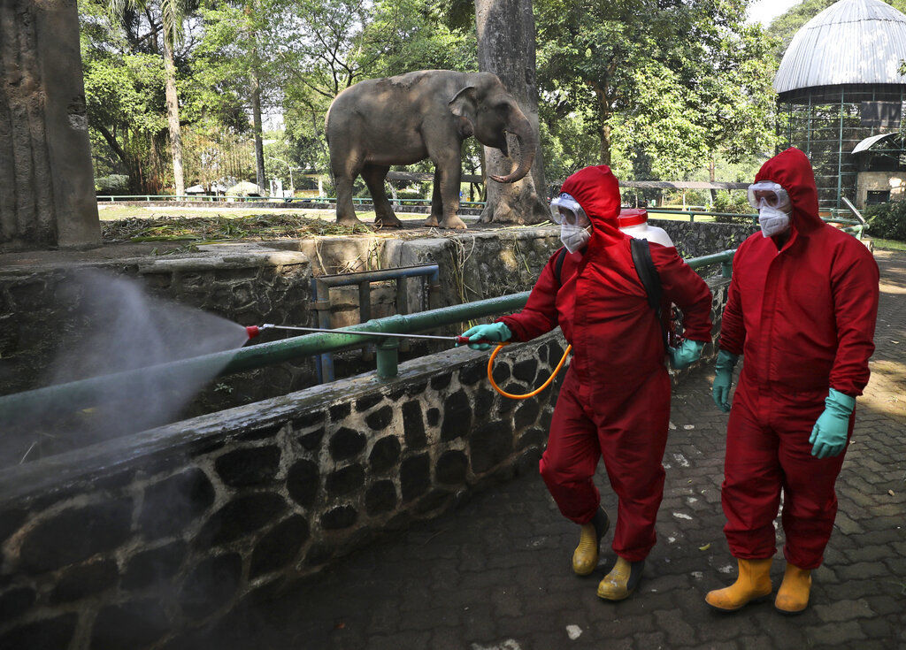 APTOPIX Virus Outbreak Indonesia